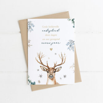 Dubbele Kerstkaart: Gods liefdevolle nabijheid deze dagen en een gezegend nieuw jaar