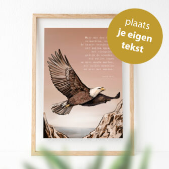 Ontwerp je eigen unieke poster